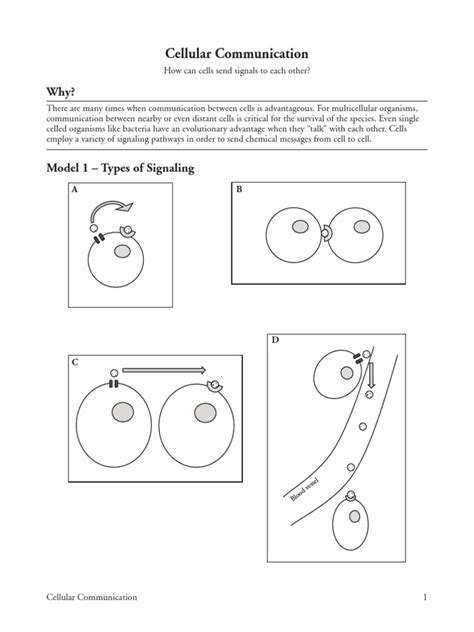 12 Cellular Communication-S Ebook - SaddleSpace Epub