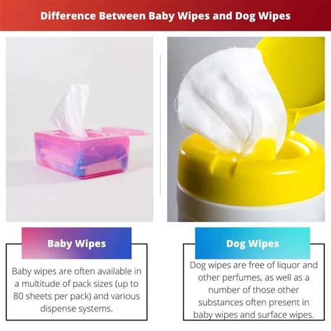 12 Dog Wipes FAQs vs Answers You Should Know by 2025