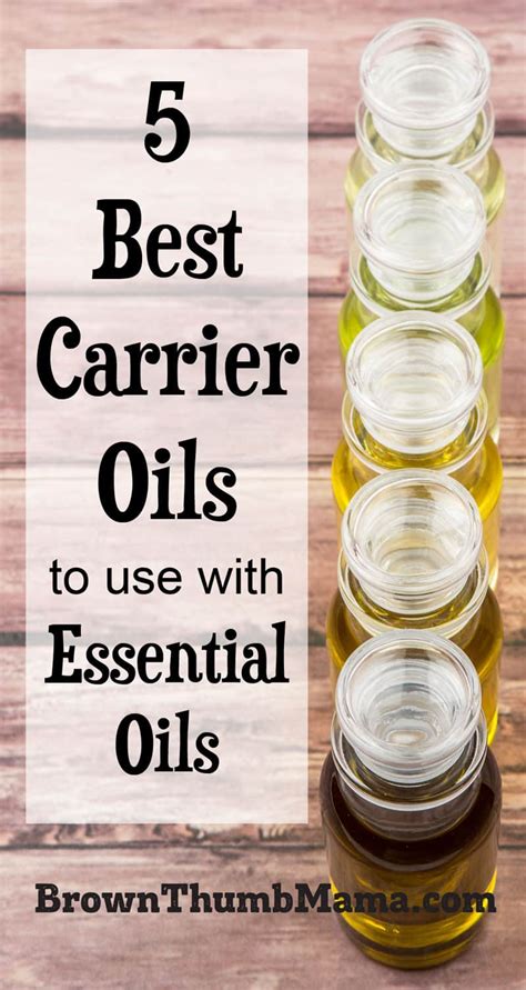 12 Essential Carrier Oils for Every Essential Oil User