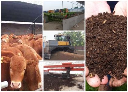 12 Essential Facts About Cow Dung Compost Machine