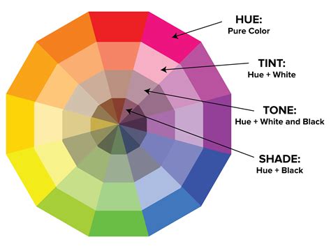 12 Essential Hue Categories: