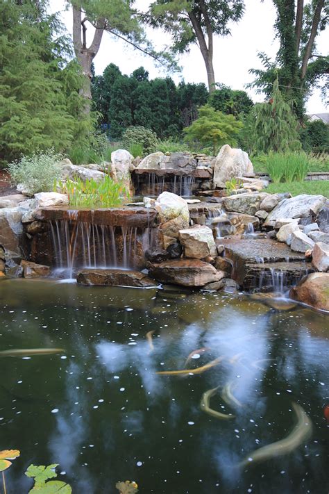 12 Essential Koi Pond Supplies You Need Right Now