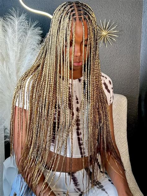 12 Jaw-Dropping Knotless Braids Hairstyles That Will Turn Heads