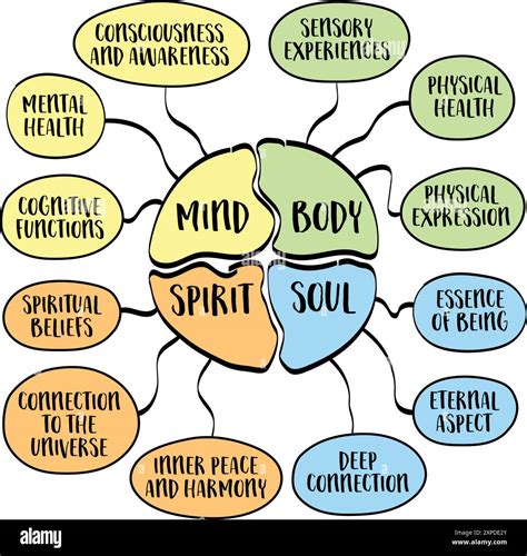 12 Key Aspects of the Human Body