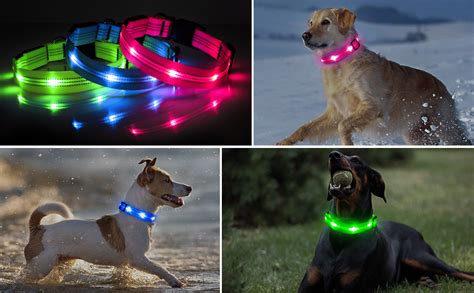 12 LED Dog Collars That Will Keep Your Pup Safe and Illuminated