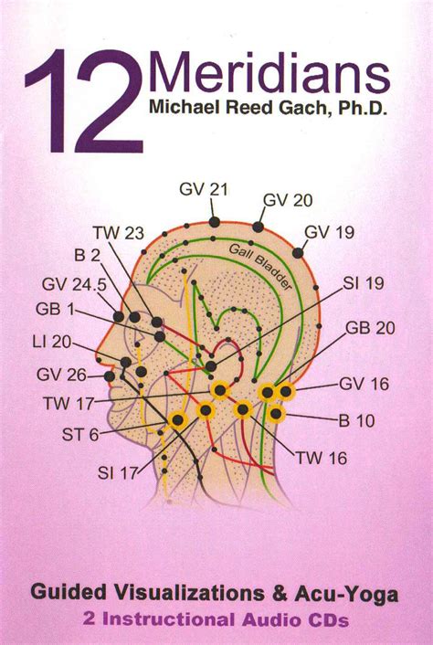 12 Meridians Guided Visualizations and Acu-Yoga 2 Instructional CDs Epub