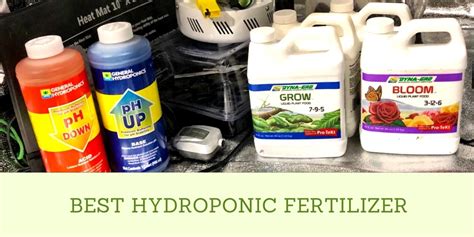 12 Proven Hydroponics Fertilizers to Use for Maximum Yield