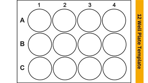 12 Well Plate Template