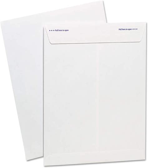 12 X 9 Catalog Envelope