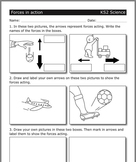 121 Forces Worksheet Answers Reader