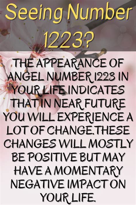 1223 angel number meaning