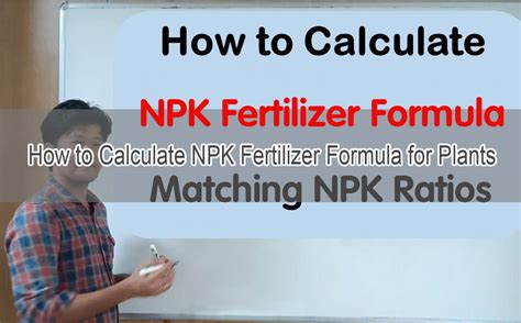 123-Step Guide to NPK Blending Plant