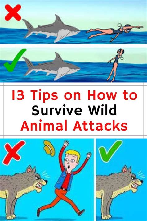 13 Tips on How to Survive Wild Animal Attacks How to survive bear or shark attack What should you do if you are bitten by a snake We ve gathered 13 your life if you do meet Japanese Edition Doc