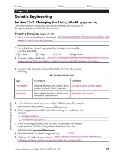 13 genetic engineering section review answer key Doc