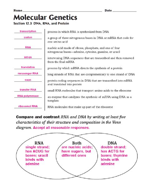 131 Rna Answer Key Biology Reader