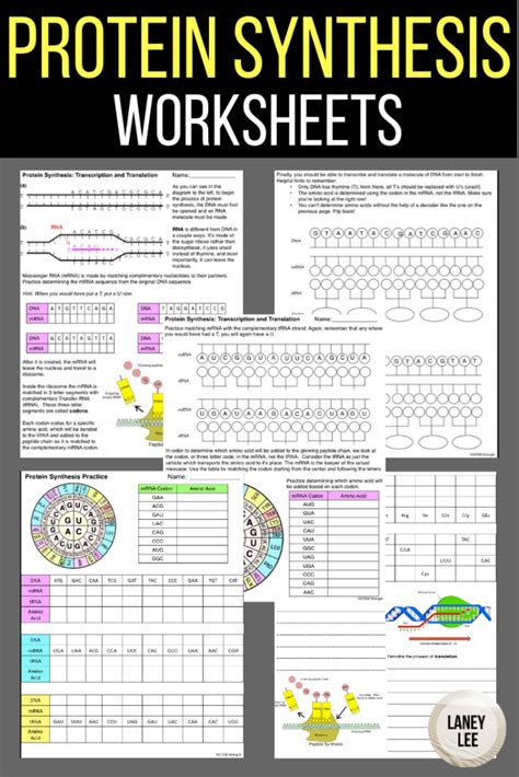 132 Ribosomes And Protein Synthesis Workbook Answers Epub