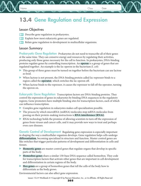 134 gene regulation and expression worksheet answer key Epub