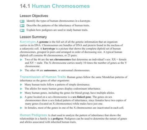 14 1 Human Chromosomes Packet Answers Doc