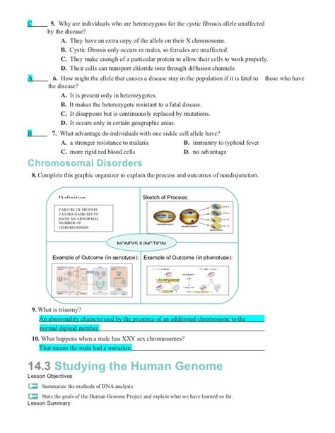 14 1 Human Chromosomes Workbook Answers PDF