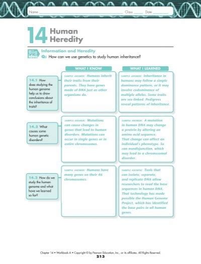 14 1 Human Heredity Answer Key Page 344 346 Doc