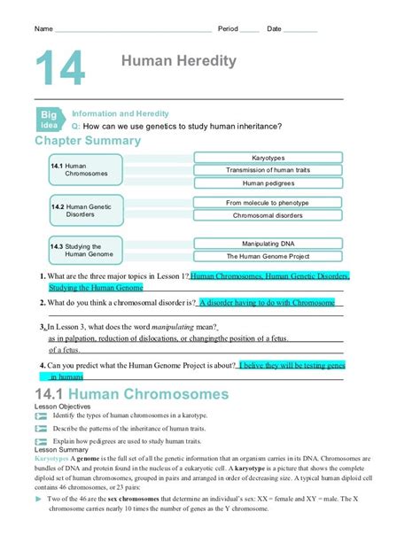 14 1 Transmission Of Human Traits Answer Key PDF