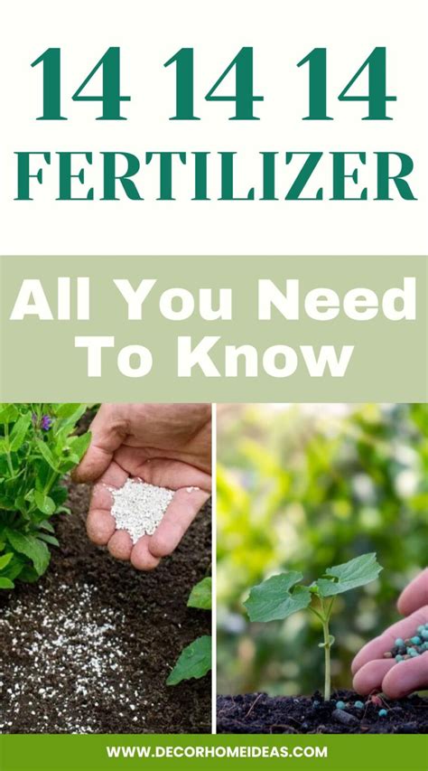 14 14 14: The Perfect Fertilizer for Your Plants