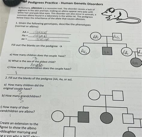 14 2 Human Genetic Disorders Answer Key Doc