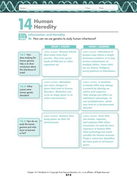 14 Human Heredity Work Answers Reader