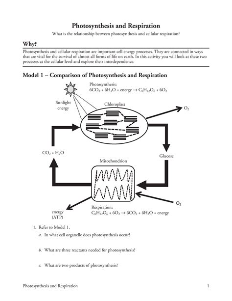 14 Photosynthesis and Respiration-S Ebook Doc