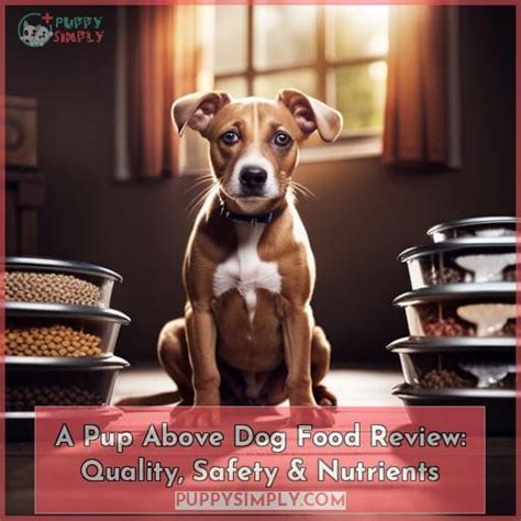 142. A Pup Above dog safety tips