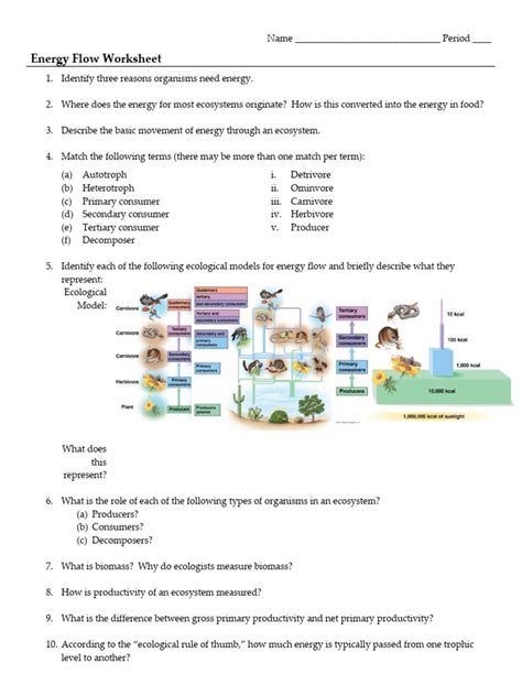 146 energy flow worksheet answers Doc