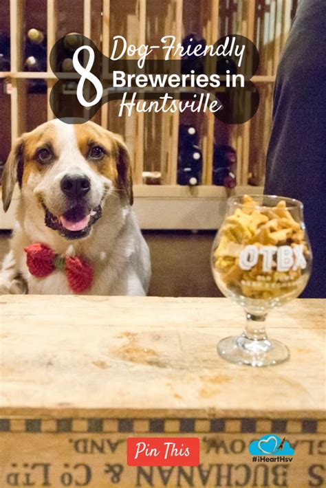 15 Dog-Friendly Breweries Near Me That Will Make Your Tail Wag