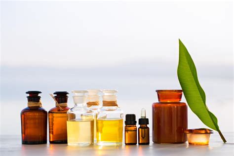 15 Essential Carrier Oils for Aromatherapy and the Art of Blending