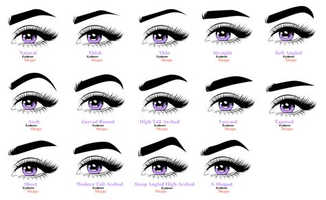 15 Exquisite Female Eyebrow Shapes for an Enhanced Look