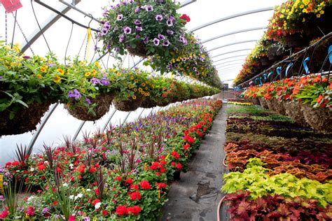 15 North Jersey Nurseries That Will Make Your Green Dreams Come True