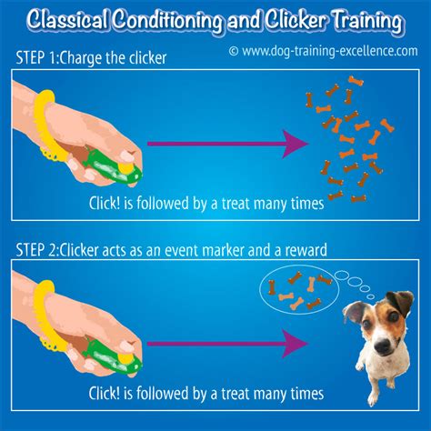 15 Rules for Clicker Training Your Dog Reader