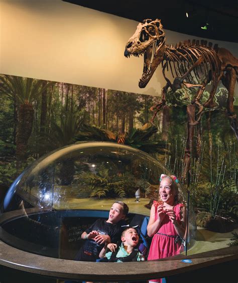 15 Thrilling Exhibits at the Delaware Museum of Nature & Science