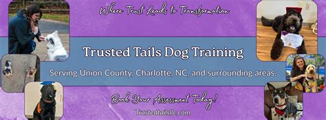 15 Trusted Behavioral Dog Training Experts Near You