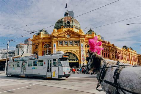 15 Unforgettable Things to Do in Melbourne City in 2025