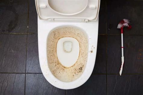 15 Ways to Remove Mold from Toilet Bowl: A Comprehensive Guide