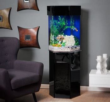 15-Gallon Tall Aquarium: A Compact and Versatile Aquatic Ecosystem