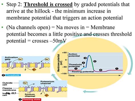 15000 Milligrams: A Threshold of Potential