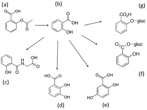 15000 Milligrams: The Transformative Power of Aspirin