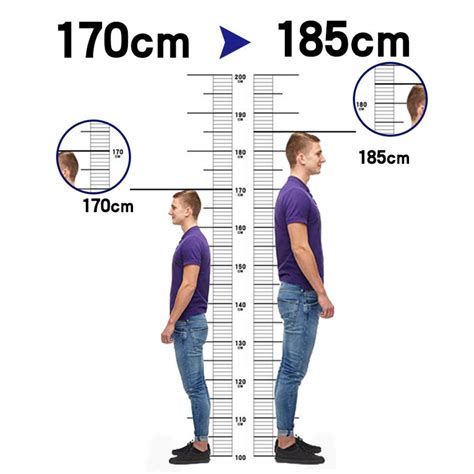 152.4 cm in feet: A Comprehensive Guide