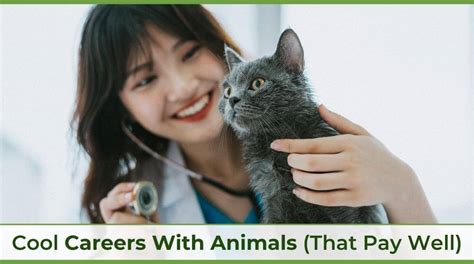 16 Jobs With Animals That Pay Well