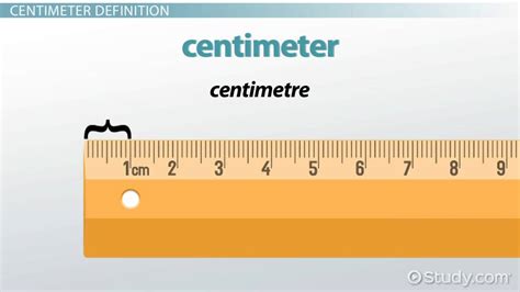 16.5 cm: Exploring the Significance of Length