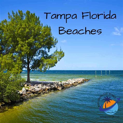 17 Pristine Beaches Near Tampa, Florida: An Unforgettable Coastal Escape