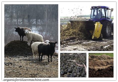 18 Incredible Facts About Sheep Dung Compost Machines