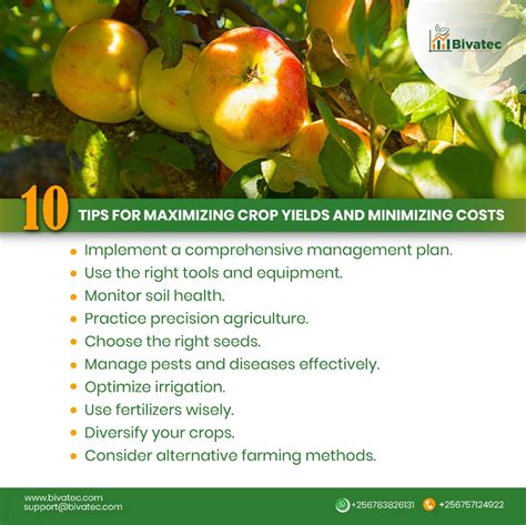 18 Proven Ways to Maximize Crop Yield