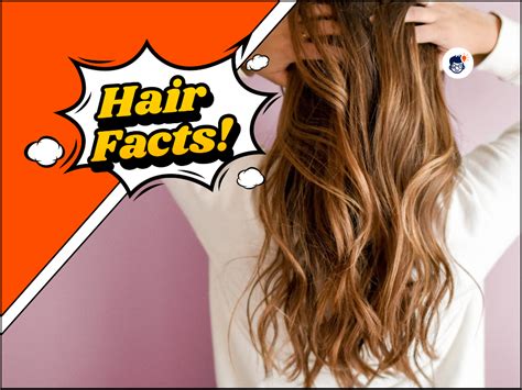 18 Unbelievable Hair Facts That Will Blow Your Mind